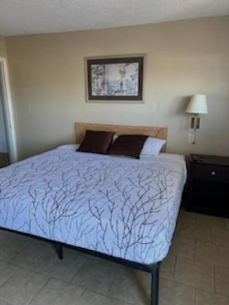 Budget Inn Decatur Priceville エクステリア 写真